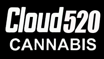 Cloud 520